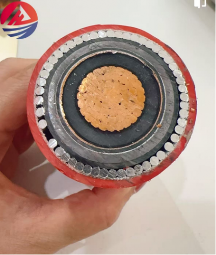 دراسة حالة نجاح عميل — توريد 1000 متر من كابل الطاقة الكهربائية إلى فرنسا دراسة حالة نجاح عميل — توريد 1000 متر من كابل الطاقة الكهربائية إلى فرنسا